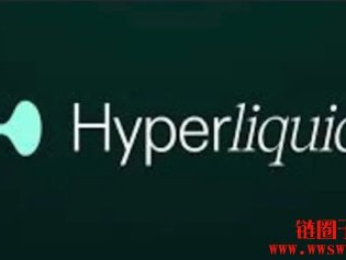 Hyperliquid其HYPE代币价格飙升，市值已超越借贷平台Aave
