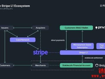 Stripe开发自家区块链Tempo，支付导向的高效能 L1
