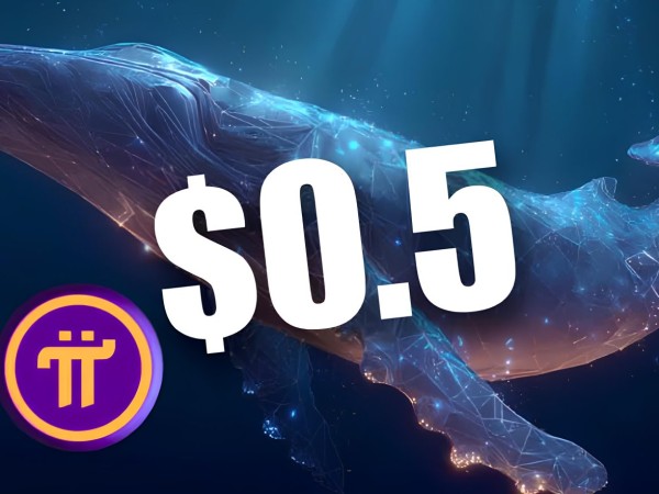 Pi Network新目标价为0.5美元！顶级鲸鱼持有量接近3.75亿枚代币