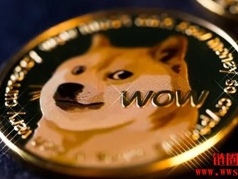 矽谷VC正争相进入DOGE委员会，2025年有望带来区块链产业新气象