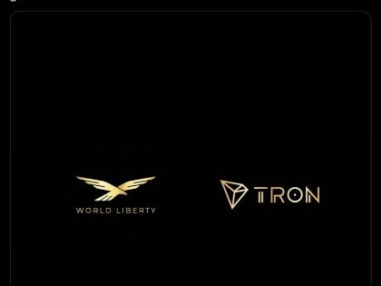 孙宇晨豪3千万美元买WLFI，成World Liberty Financial最大投资人