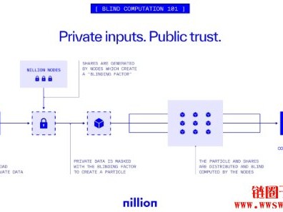 隐私区块链项目Nillion筹资2500万美元，推动盲计算技术应用