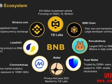 YZi Labs设立10亿美元建设基金投入BNB生态，驱动链上活跃度创新高
