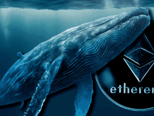 「ICO 老巨鲸」沉睡 8 年苏醒：1,500 枚以太币转入 Kraken 疑似套现