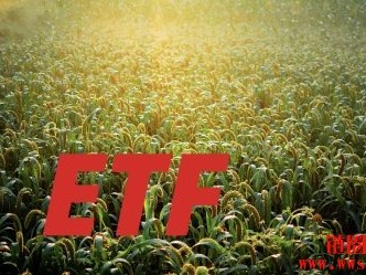 盘点2024年各ETF报酬率|2025将有更多加密ETF推出