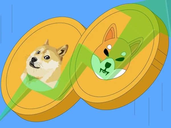 狗狗币和柴犬币在市场崩盘后反弹！投资人把目光转到PepeNode