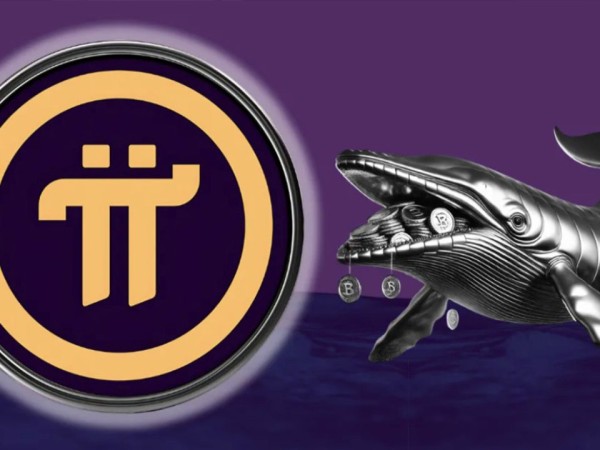 Pi Network价格会在未来几周飙升！一条鲸鱼几乎每天都购买Pi币 - icobench.com