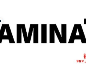 韩国元宇宙项目Another World在代币交易后与Lamina1合并
