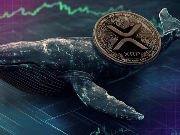 大规模XRP转移引发市场猜测！若鲸鱼流失有机会跌回2.8美元