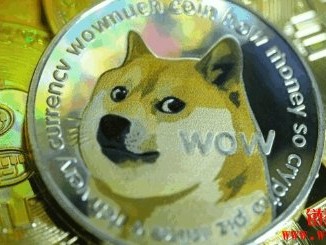 2025 年有望迎来狗狗币ETF吗？专家这么说…