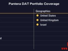 Pantera已向加密储备公司投资3亿美元，投资人为何买单高mNAV？