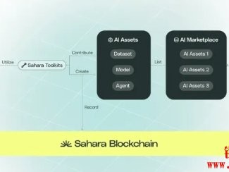 Sahara AI将于2025年上线主网，测试网白名单获取方式曝光