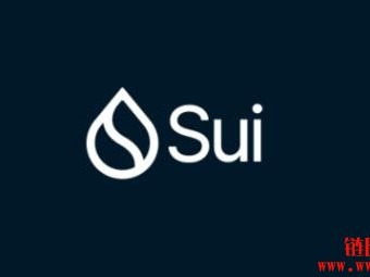SUI的4.5亿美元加密国库行动：市场救世主还是炒作？