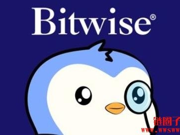 PENGU币狂飙28%！Binance解锁风险标签＋NFT热潮助攻