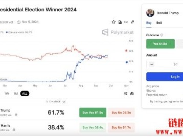 2024年美国总统选举：与加密货币的利害关系