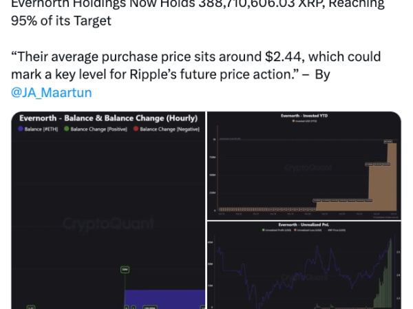 由Ripple支持的 Evernorth 即将推出公开交易的 瑞波币（XRP）财库基金