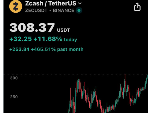 Zcash在Arthur Hayes预测1万美元目标后暴涨30%