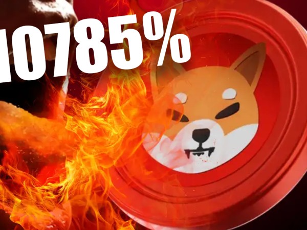 柴犬币燃烧率跳升至10000% ！社区信心大增目标为0.000016美元