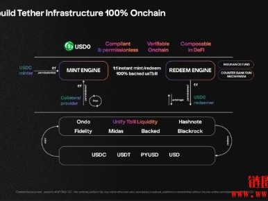 解析链上Tether USUAL 协议的代币经济及其背后逻辑